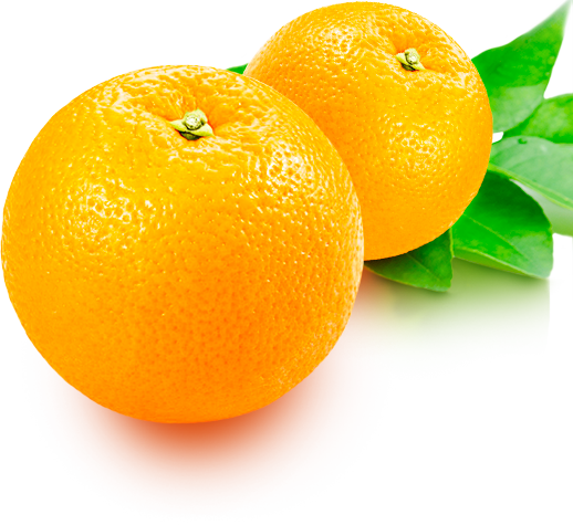 Forfrut
