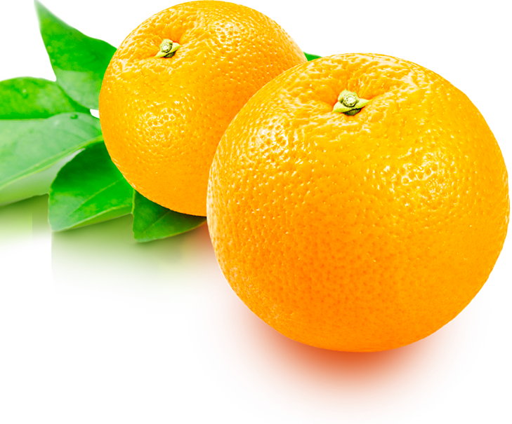 Forfrut